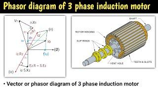 phasor diagram of 3 phase induction motor | vector diagram of induction motor | three phase motor