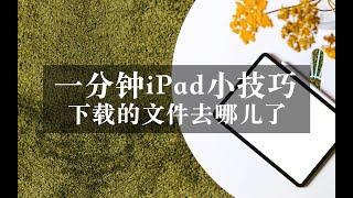 【iPad】一分钟小技巧｜下载的文件去哪儿了 如何打开下载文件？