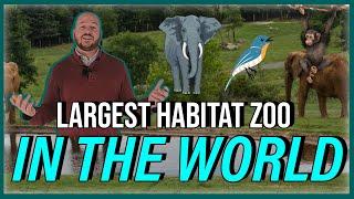 North Carolina Zoo Tour | Things To Do Living In North Carolina