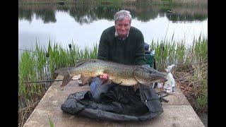 My biggest Pike - 38lb 15 oz