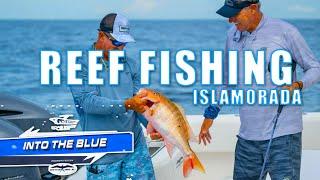 Islamorada, Florida Keys Bottom Fishing  | Into the Blue