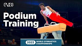 Fred Richard (USA) - Pommel Horse - 2023 World Gymnastics Championships Podium Training