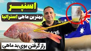 The most effective way to remove snapper fish odour بهترین روش از بین بردن بوی بد ماهی جوادجوادی