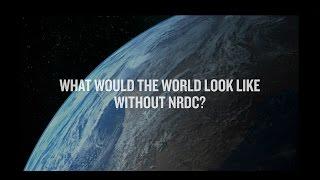 A World Without NRDC