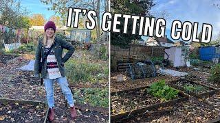 PROTECTING THE ALLOTMENT FROM FROST / ALLOTMENT GARDENING UK