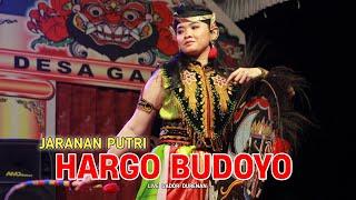 Jaranan Putri HARGO BUDOYO Live Gador Durenan ~ AMJ AUDIO