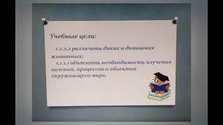 1 класс.  Урок естествознание. Какие бывают животные.