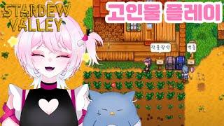 【긴급스듀】 컴퓨터가 붕괴돼서 리방했습니다...【디오페레타/사미무해】