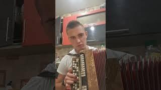 Выйду ночью в поле с конём #КаверХит #конь #баян