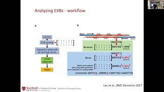 Webinar #2, S13 425 Oligo Barcoding