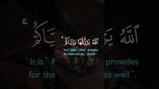 قرآن كريم  | فارس عباد
