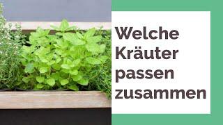 Welche Kräuter passen zusammen? 15 Kräuterpaare, die sich vertragen