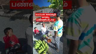  AMERICAல காய்கறி கடை போட்டுட்டோம் #shortstamil #usatamilvlog #tamil #gardening