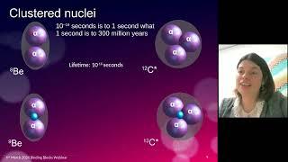 The amazing world of nuclei...from the Hoyle state to nuclear molecules