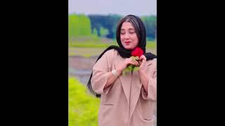 فیلم شکست عشقی در مزرعه