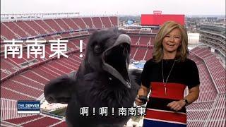 亂入現場畫面的生物們！受驚的天氣播報員各種反應～