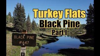 Turkey Flats Part I // Mountain Biking Black Pine, Glade Park, CO