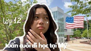 một tuần đi học cấp ba tại mỹ  - du học sinh || high school vlog