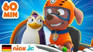 PAW Patrol | 1 STUNDE der besten Tierrettungen! | Nick Jr.