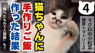 【手作りﾆｬﾝｺご飯ﾚｼﾋﾟﾁｬﾝﾈﾙ】【残ったﾆｬﾝｺご飯をｱﾚﾝｼﾞして人間飯】【愛猫と自分のご飯を同時に作ろう‼️】#手作り#猫#猫ご飯#野良猫#保護猫#猫カフェ#犬#ペット#らーめん#cat