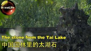 The stone from the Tai Lake中国园林里的太湖石