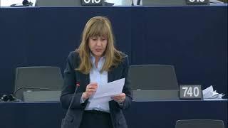 María Teresa Giménez Barbat 26 Mar 2019 plenary speech on Neighbourhood