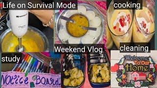 survival mode पर चल रही है जिंदगी । weekend vlog। live life easy।