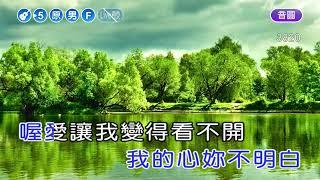 你把我灌醉~黃大煒~男原調~伴奏~導唱丙