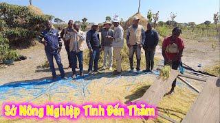Linh Philip || Giám Đốc Sở Nông Nghiệp Của Tỉnh Cùng Đoàn Ghé Thăm Việt Phi Farm !