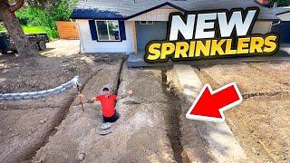 Save $$$ With This Diy Sprinkler System And Grass Combo!