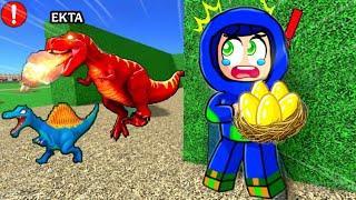 AYUSH STOLE DINOSAUR EGG IN ROBLOX FROM EKTA !!