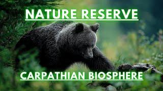Nature Reseve, Carpathian Biosphere