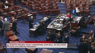 Senate passes most sweeping gun reform bill in decades