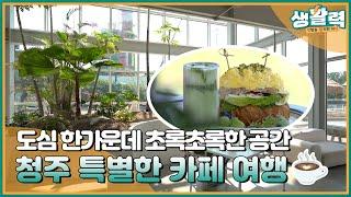 푸르름과 안락함 가득한 공간, 청주 특별한 카페 여행 함께하실래요? | MBC충북 | 230608