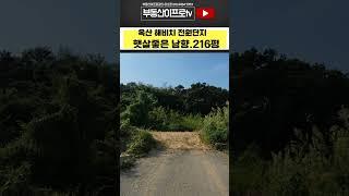청주토지매매 전원주택지 / 접근성 좋은 옥산면 해비치 전원주택단지 216평 햇살좋은 남향 #shorts