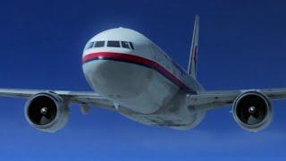 Malaysia Airlines Flight 17 - Crash Animation