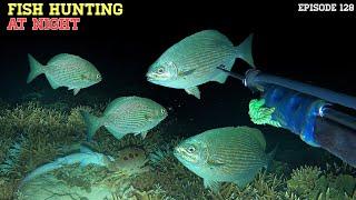 NIGHT SPEARFISHING EPISODE 128 | FISH HUNTING AT NIGHT