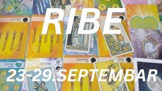 RIBE Samopoštovanje i ljubav prema sebi ️ 23-29.SEPTEMBAR - TAROT