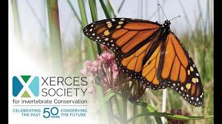 Xerces 50th Anniversary