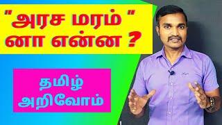 அரச மரம் னா என்ன ? | தமிழ் அறிவோம் | தமிழ் வார்த்தை அர்த்தங்கள் |