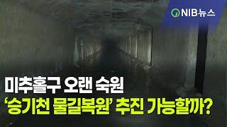 [NIB 뉴스] 미추홀구 오랜 숙원 ‘승기천 물길복원’추진 가능할까?