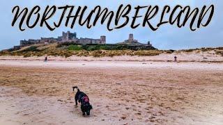 The BEST Places To Visit In Northumberland! | Vlog