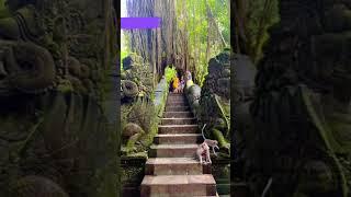 best 5 must visit places in Ubud Bali Indonesia 2023 #bali #shorts