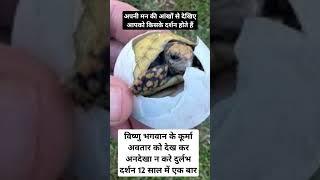 12 साल में एक बार दर्शन कूर्मासन#vishnu#vishnubhajan#vishnumantra