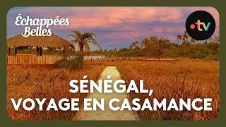 Sénégal, voyage en Casamance - Echappées belles