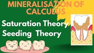 Theories of mineralisation of calculus | Periodontology