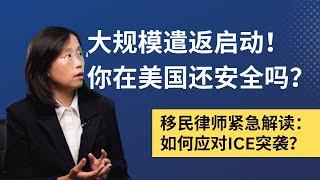 川普大规模遣返非法移民！如何保护自己？移民律师深度解析！ | ICE突袭、递解令、政治庇护最新解读！#immigration #移民美国 #移民政策