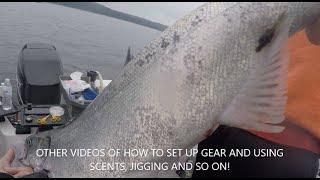 NW SALMON FISHING AREA 11 PUGET SOUND HOW TO NET FISH IN A BOAT