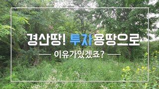 경산시 용성면 400평이상의 1억원대 집짓고 텃밭하기 멋진 경산땅[2794]