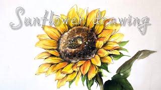 해바라기 그리기 (Sunflower Drawing by Korean painting)ㅣ한국화 동양화 수묵담채